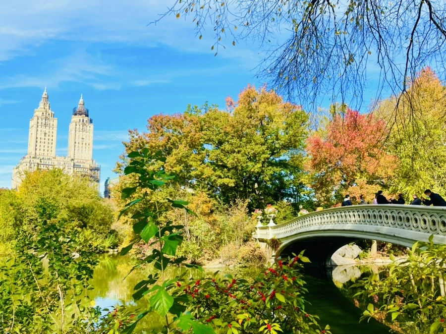 IMG_0249.jpg?type=w966