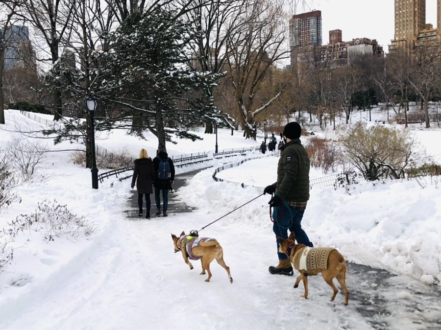 IMG_9454.jpg?type=w966