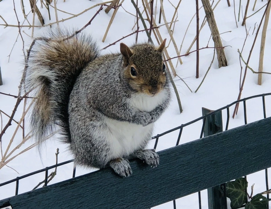 xiBiKfZAFK82wQbNso581s4DuhY