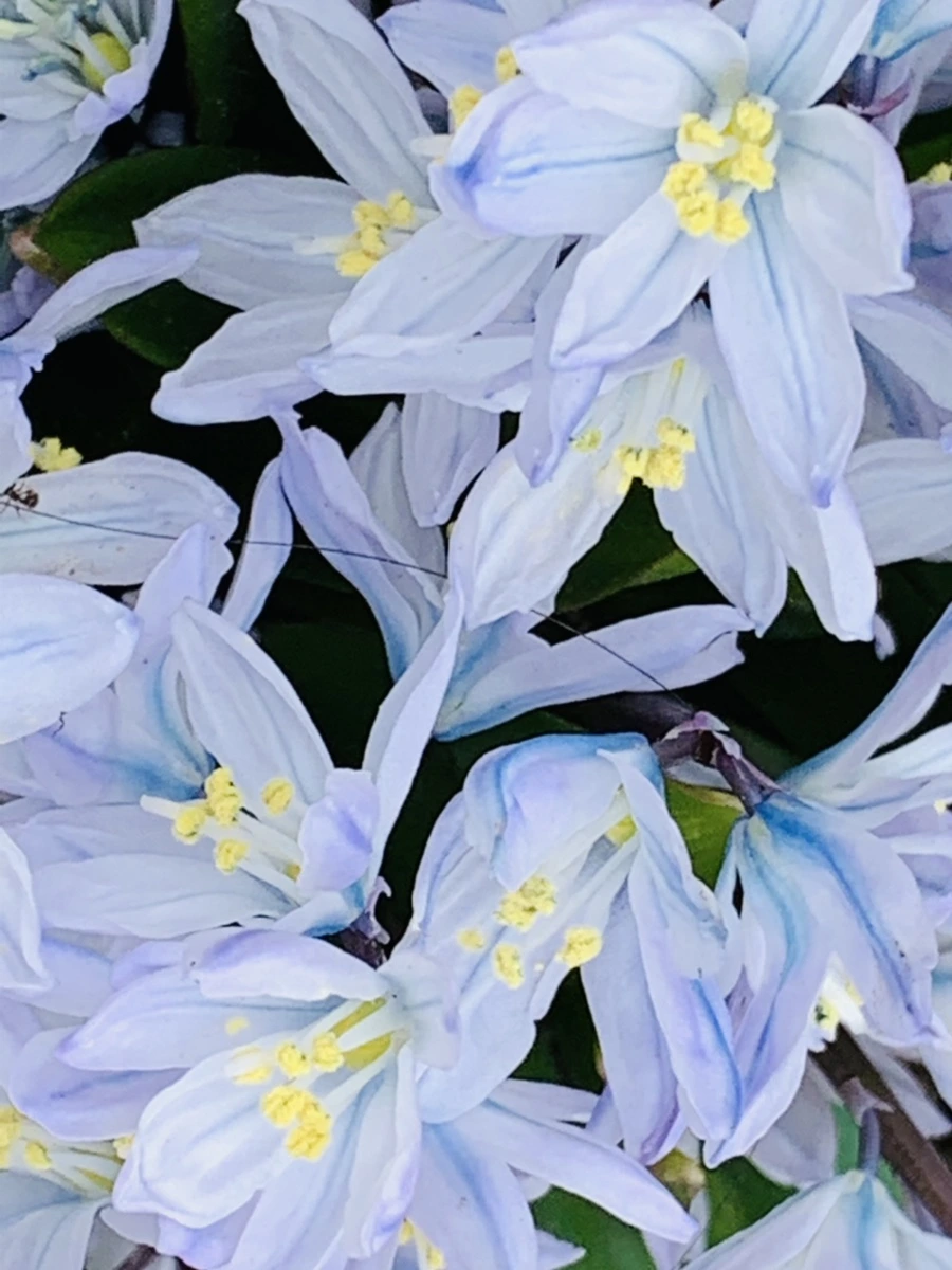 IMG_3528.jpg?type=w966