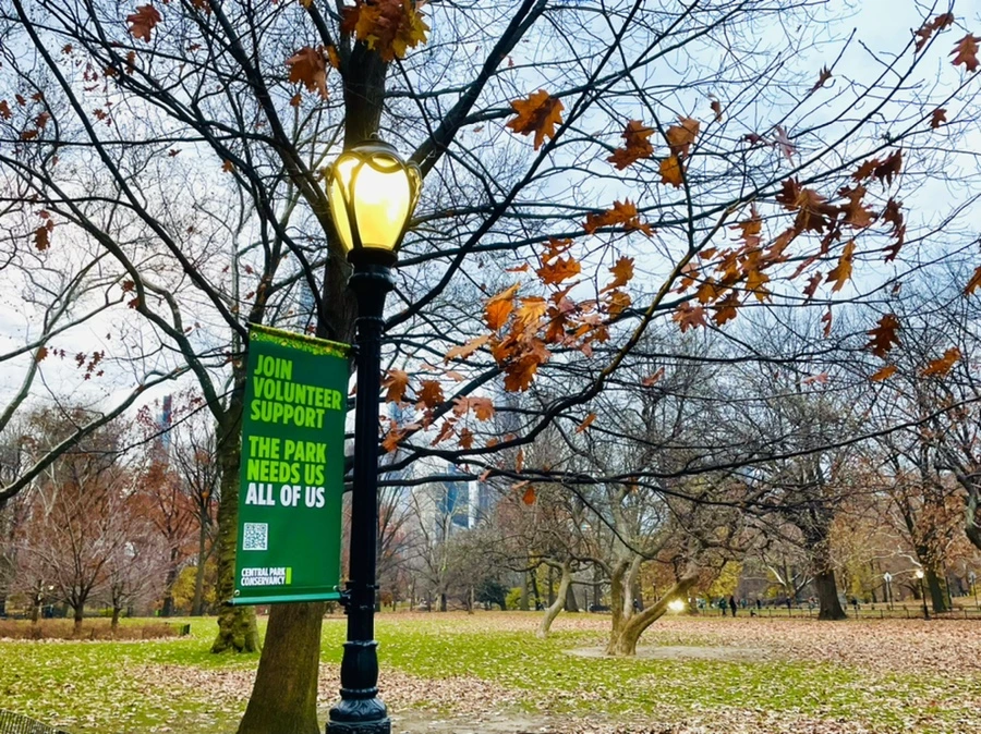 IMG_6231.jpg?type=w966