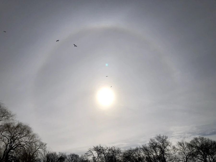 IMG_1673.jpg?type=w966