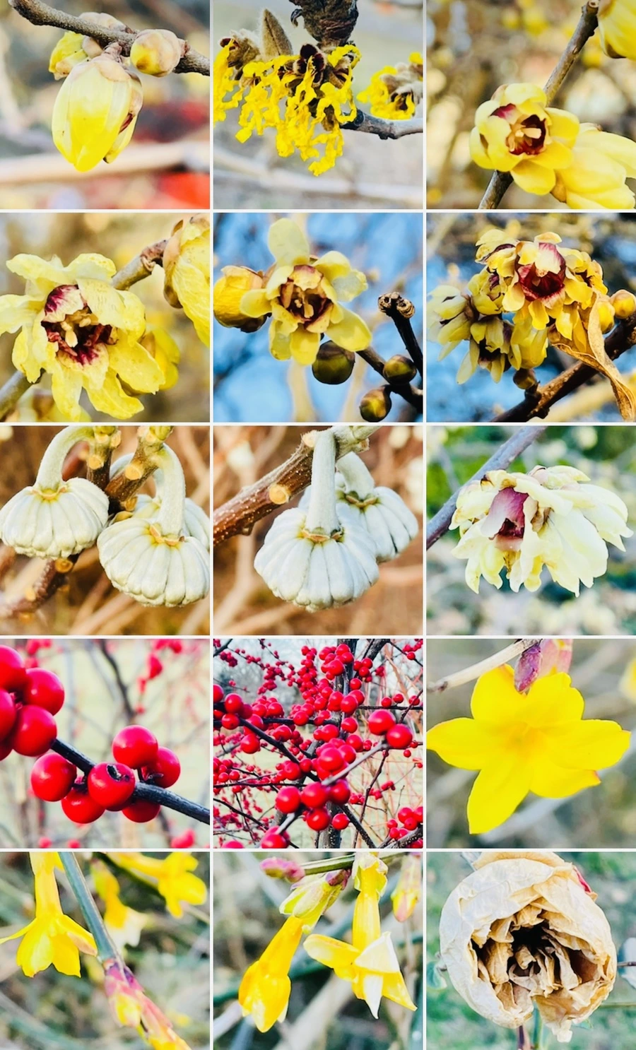 IMG_0208.jpg?type=w966