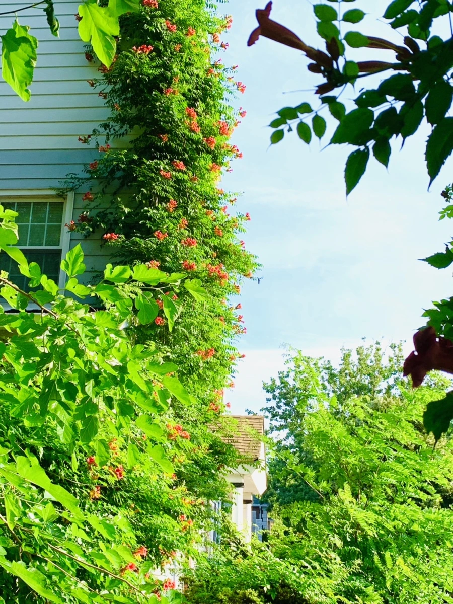 IMG_7969.jpg?type=w966