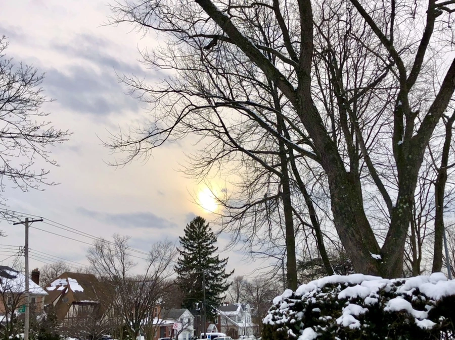 IMG_2297.jpg?type=w966