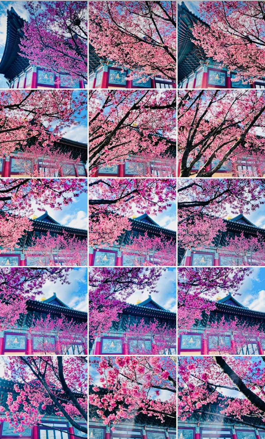 IMG_6214.jpg?type=w966