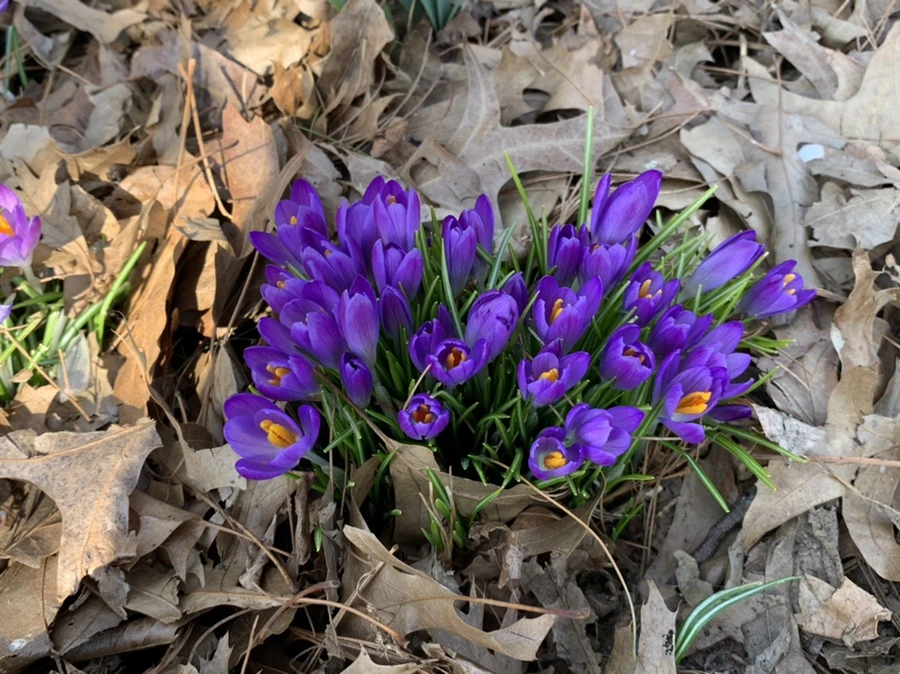 IMG_9707.jpg?type=w966