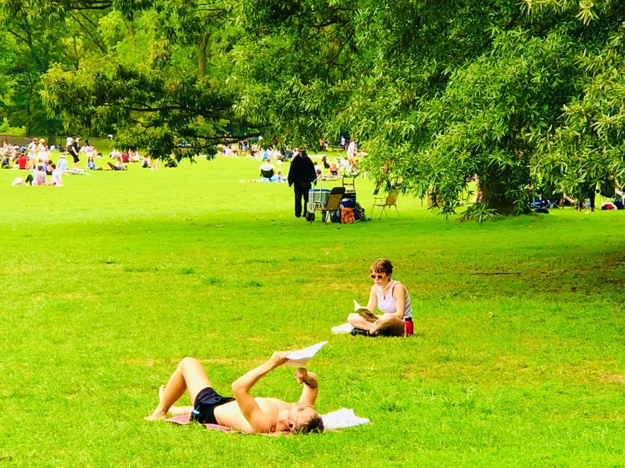 IMG_0093.jpg?type=w966