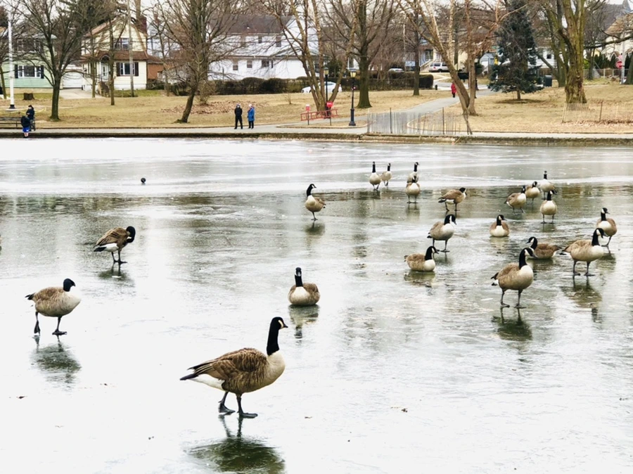 IMG_8288.jpg?type=w966