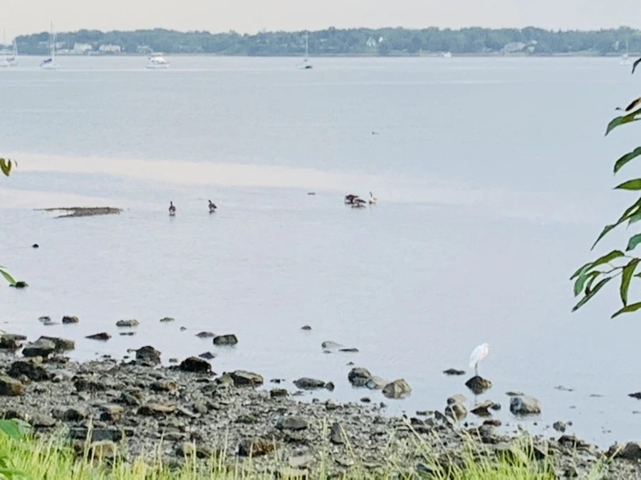 IMG_0655.jpg?type=w966