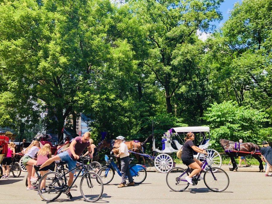 IMG_7772.jpg?type=w966