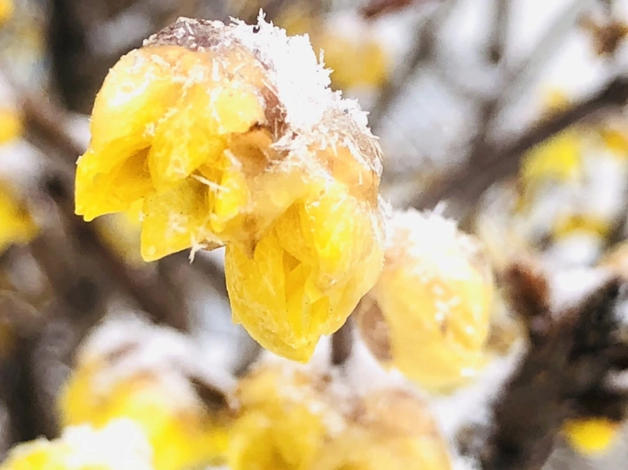 IMG_3495.jpg?type=w966