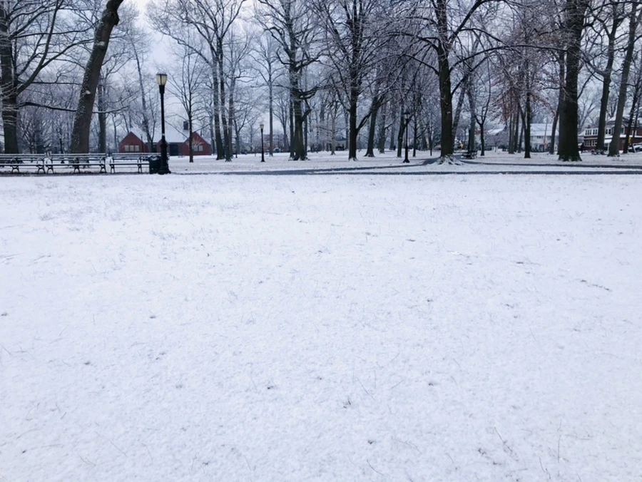 IMG_4494.jpg?type=w966