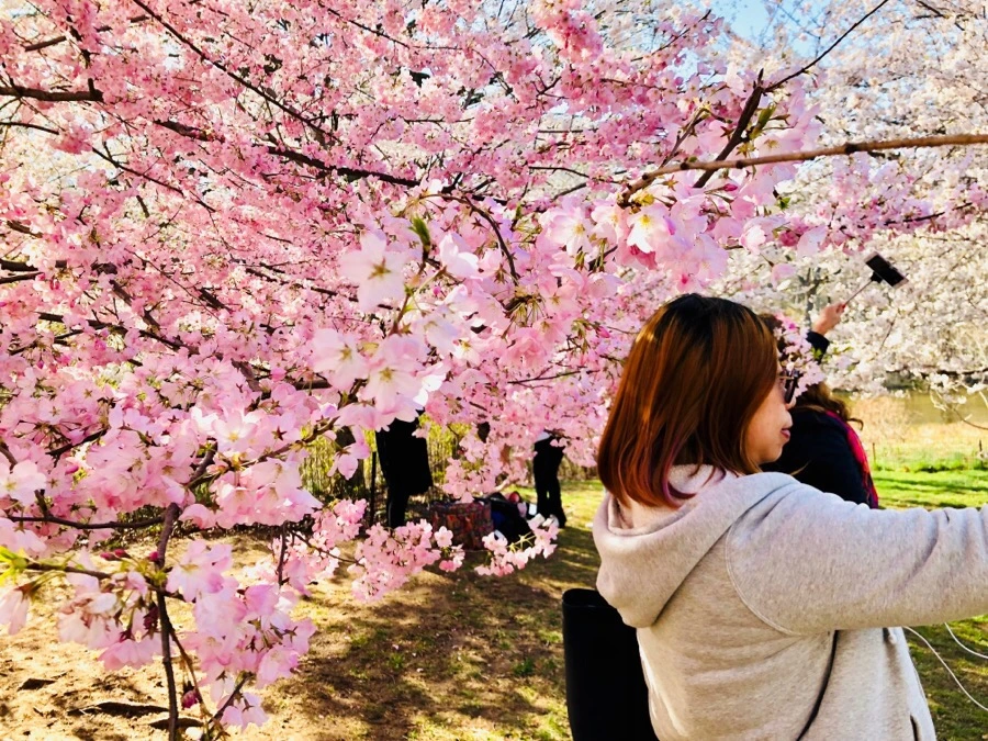 IMG_4537.jpg?type=w966