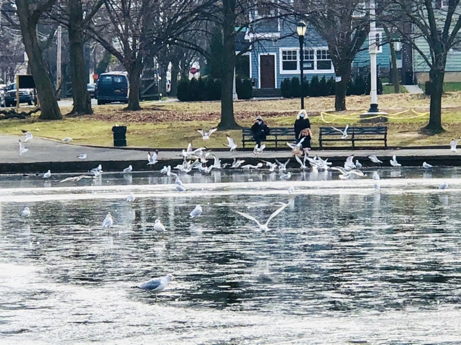 IMG_2044.jpg?type=w966