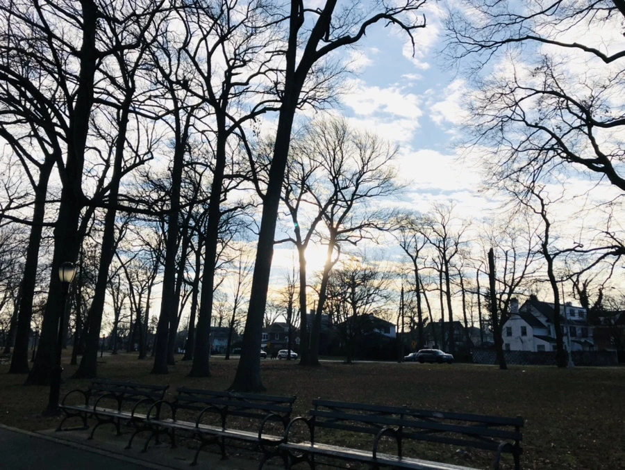 IMG_0173.jpg?type=w966