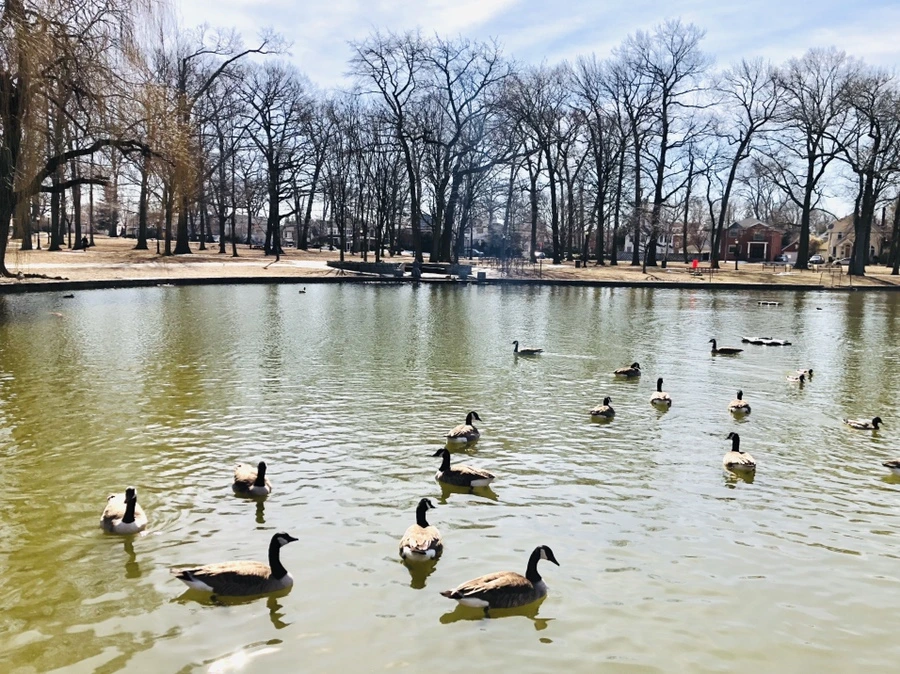 IMG_0908.jpg?type=w966