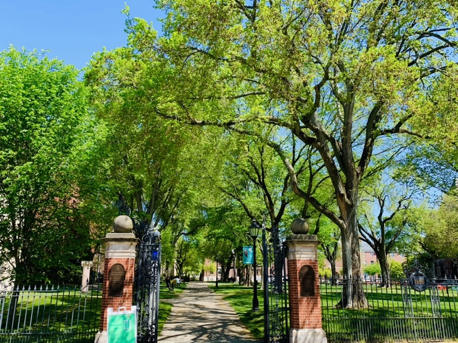 IMG_3119.jpg?type=w966