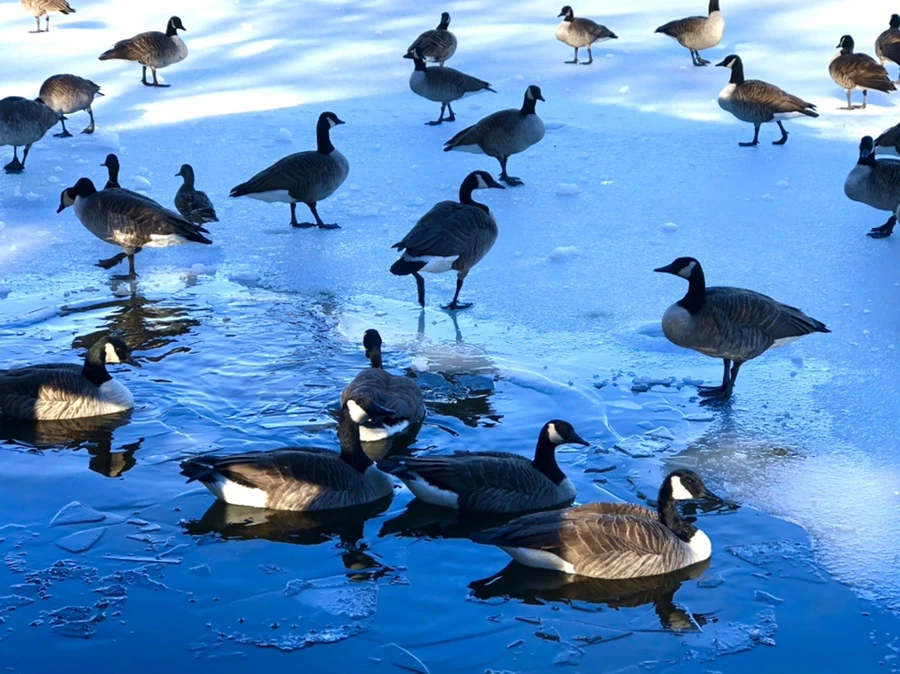 IMG_9920.jpg?type=w966