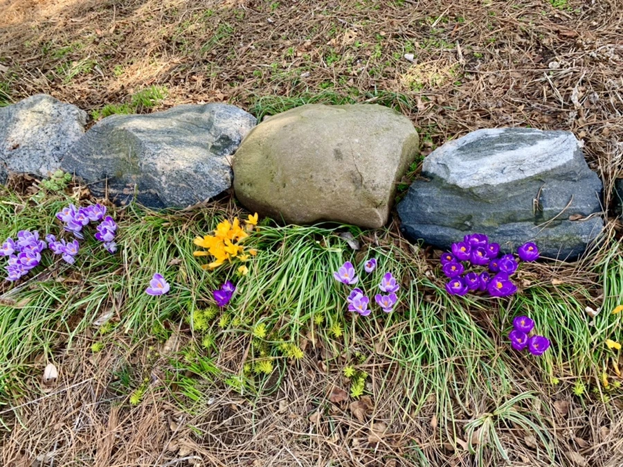 IMG_4366.jpg?type=w966