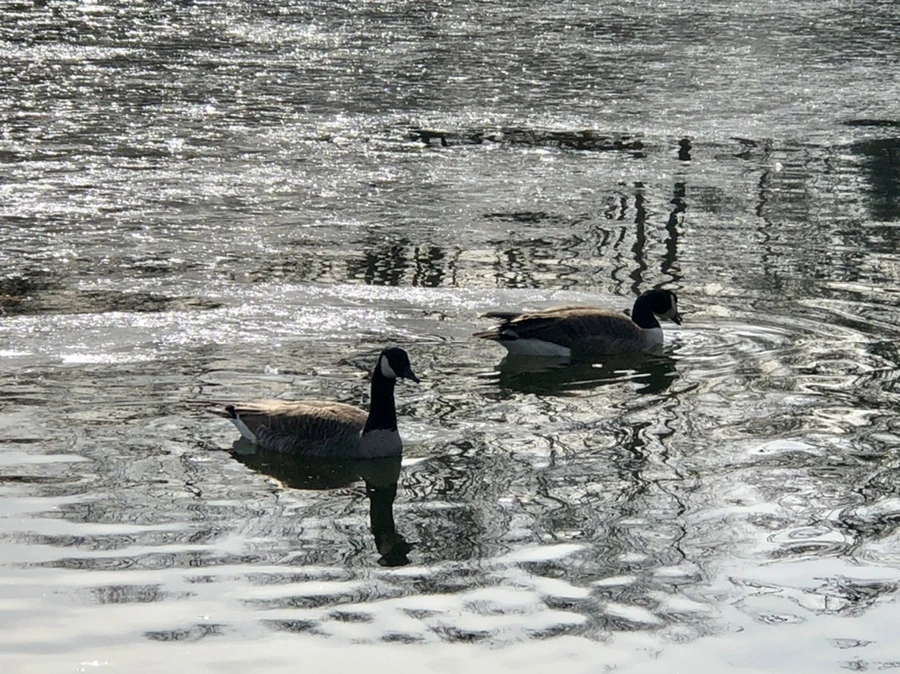 IMG_5808.jpg?type=w966