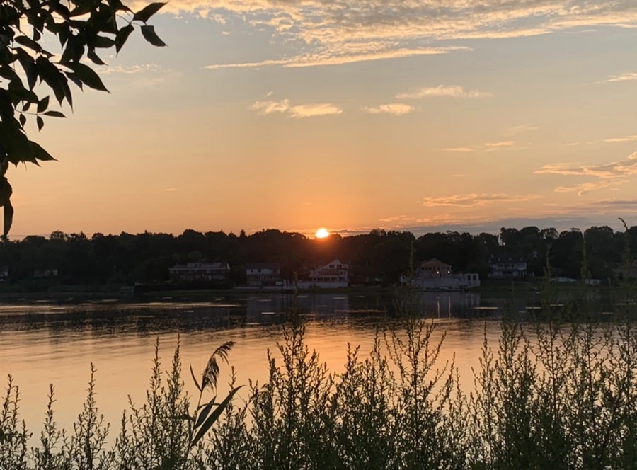 IMG_1263.jpg?type=w966