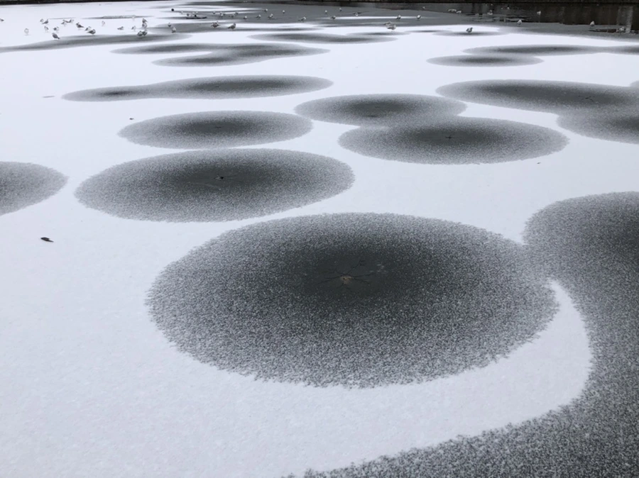 IMG_6182.jpg?type=w966