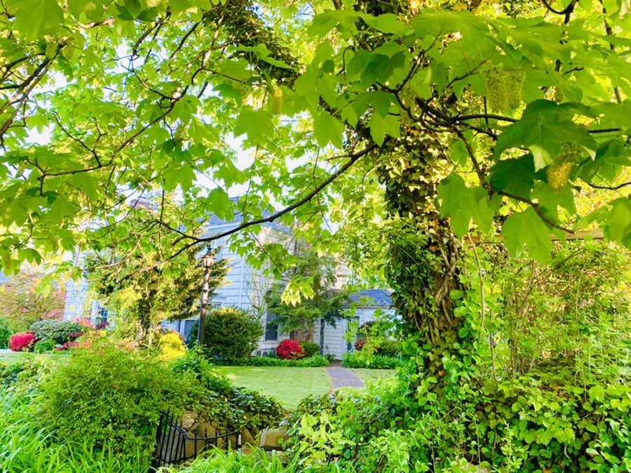 IMG_1903.jpg?type=w966