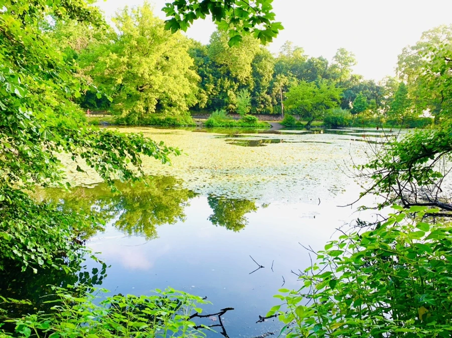 IMG_4313.jpg?type=w966