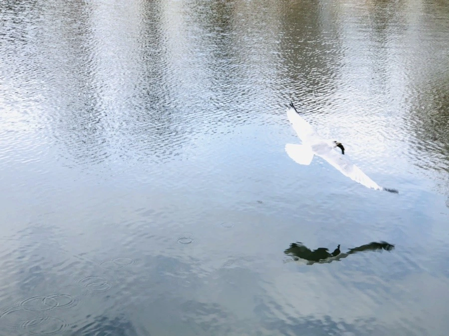 zot6n0jmsbQF6MiQ312nDrCPOlY