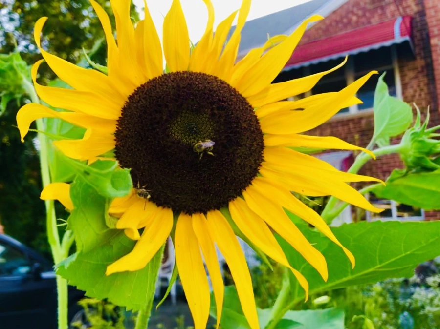 IMG_3607.jpg?type=w966