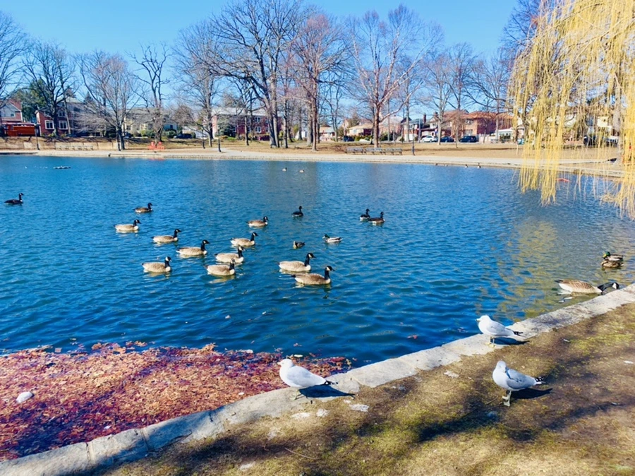 IMG_6731.jpg?type=w966