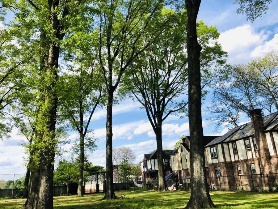 IMG_4698.jpg?type=w966