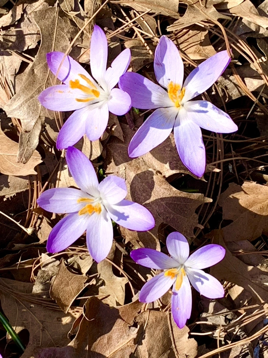 IMG_9767.jpg?type=w966