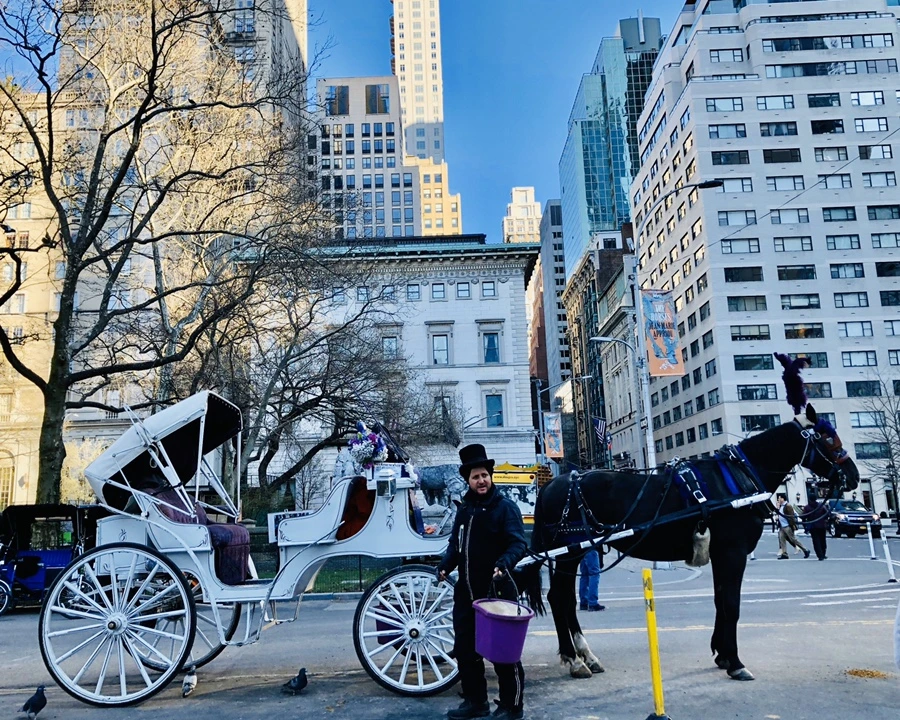 IMG_6380.jpg?type=w966