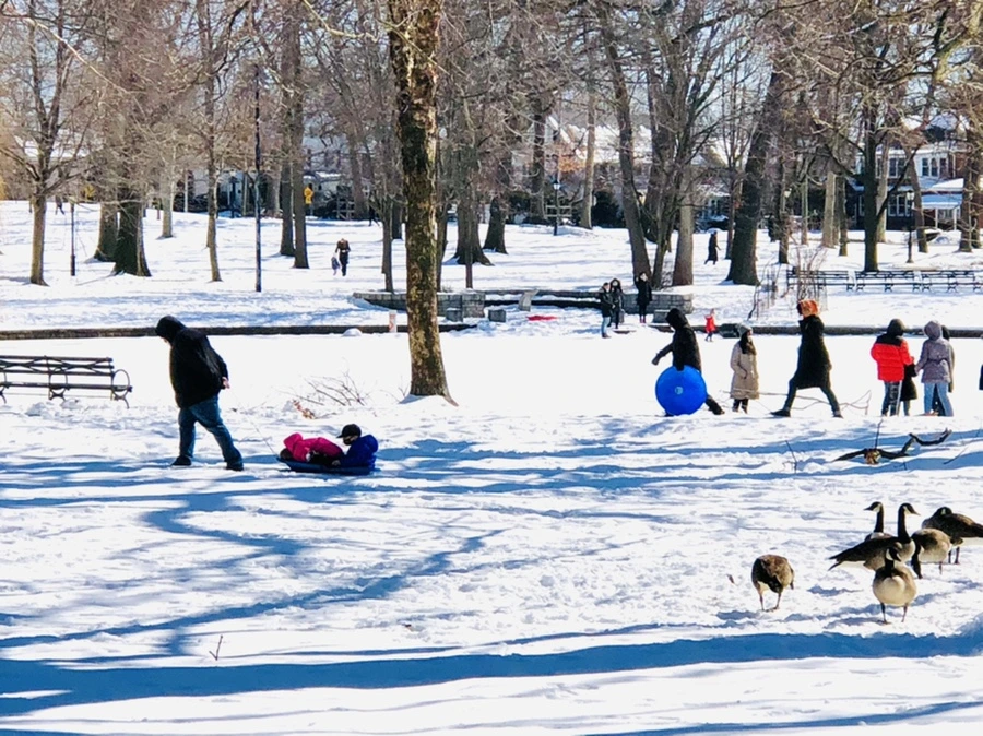 IMG_3989.jpg?type=w966