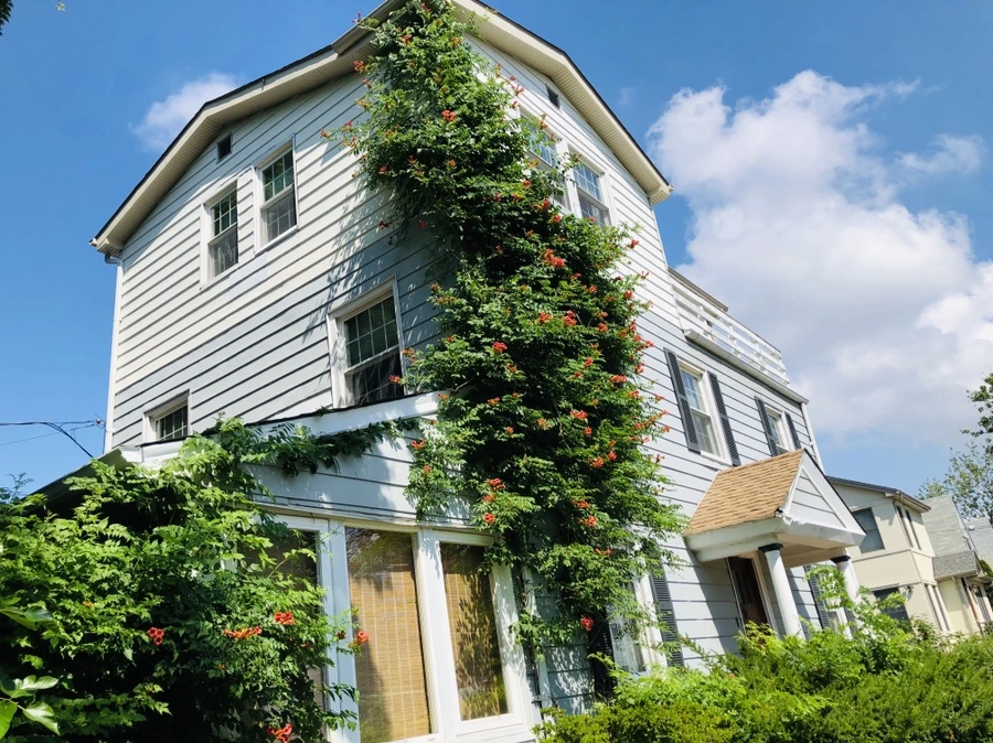 IMG_2026.jpg?type=w966