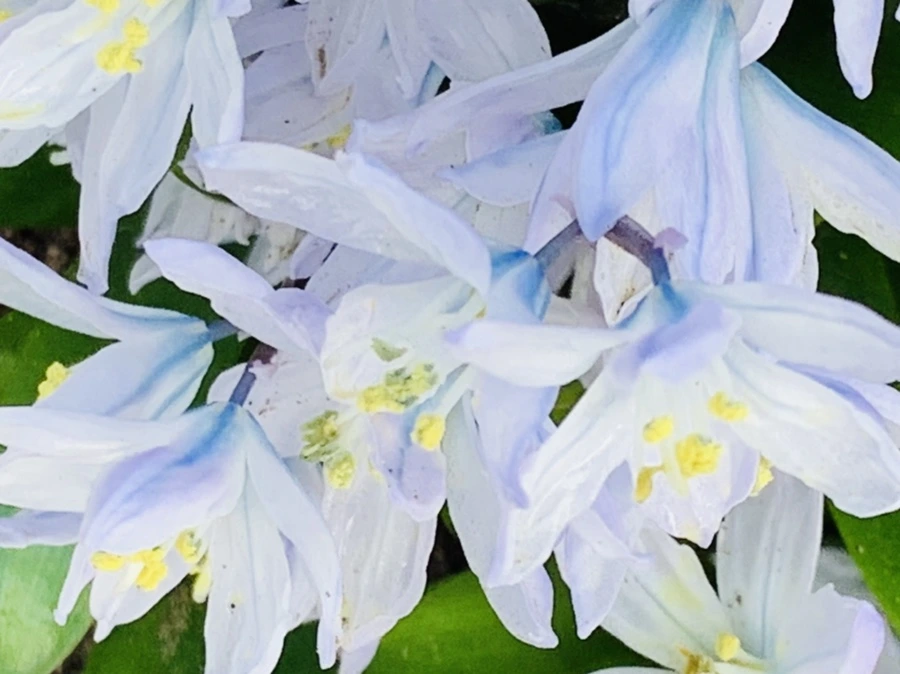 IMG_4151.jpg?type=w966