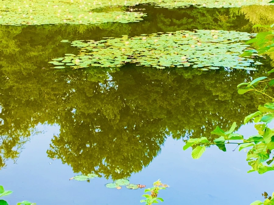 IMG_1543.jpg?type=w966