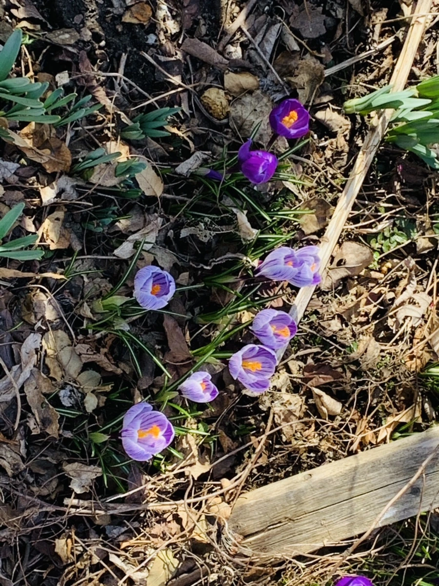 IMG_2583.jpg?type=w966