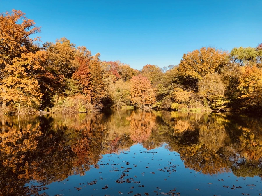 IMG_3582.jpg?type=w966