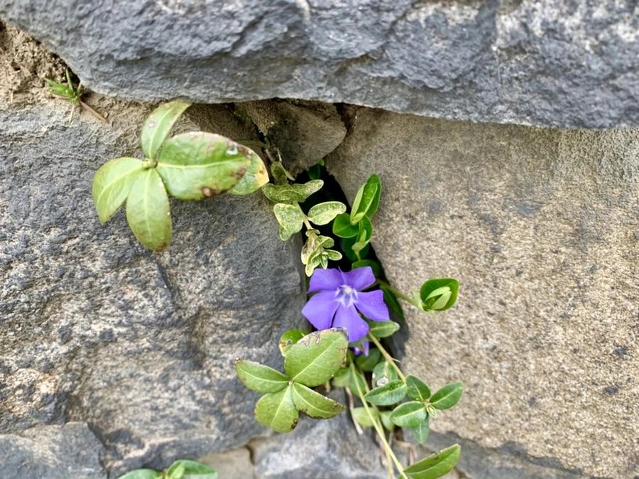 IMG_3438.jpg?type=w966