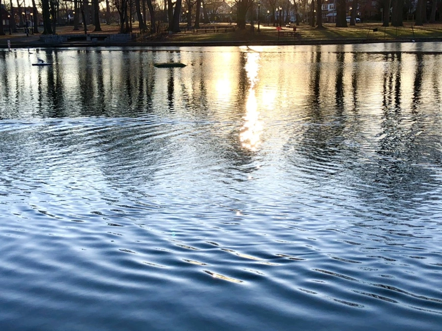 IMG_0939.jpg?type=w966