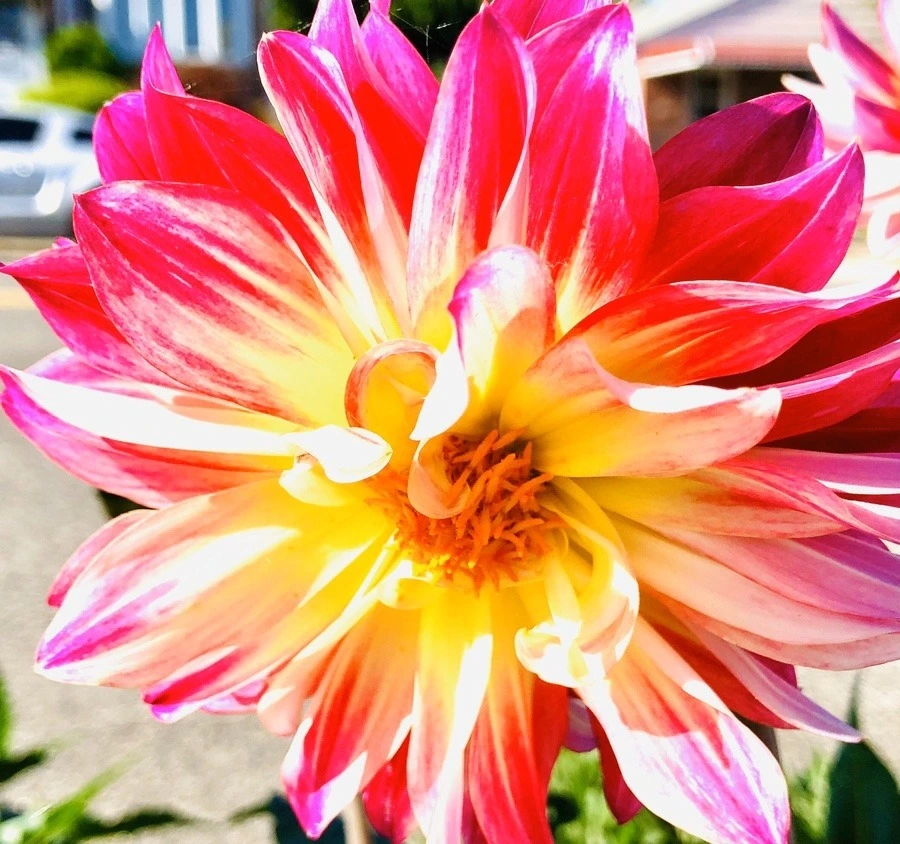 N-mxoV1vYpFCSVEcOSDAVOAhWY0