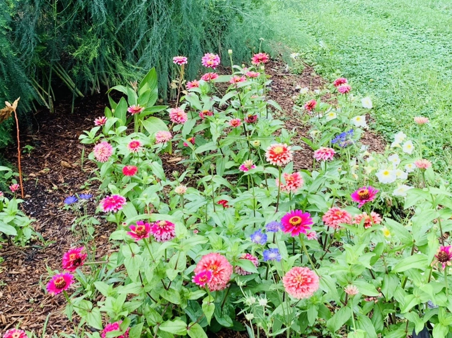 IMG_0992.jpg?type=w966