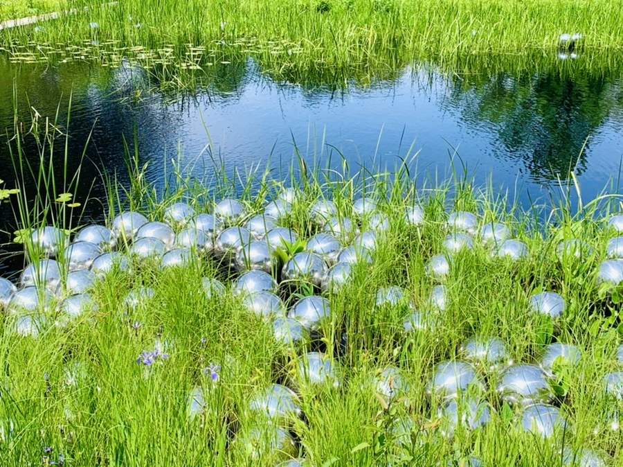 IMG_8429.jpg?type=w966