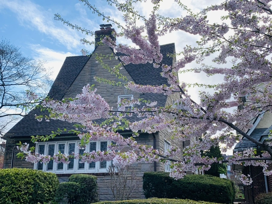 IMG_2799.jpg?type=w966