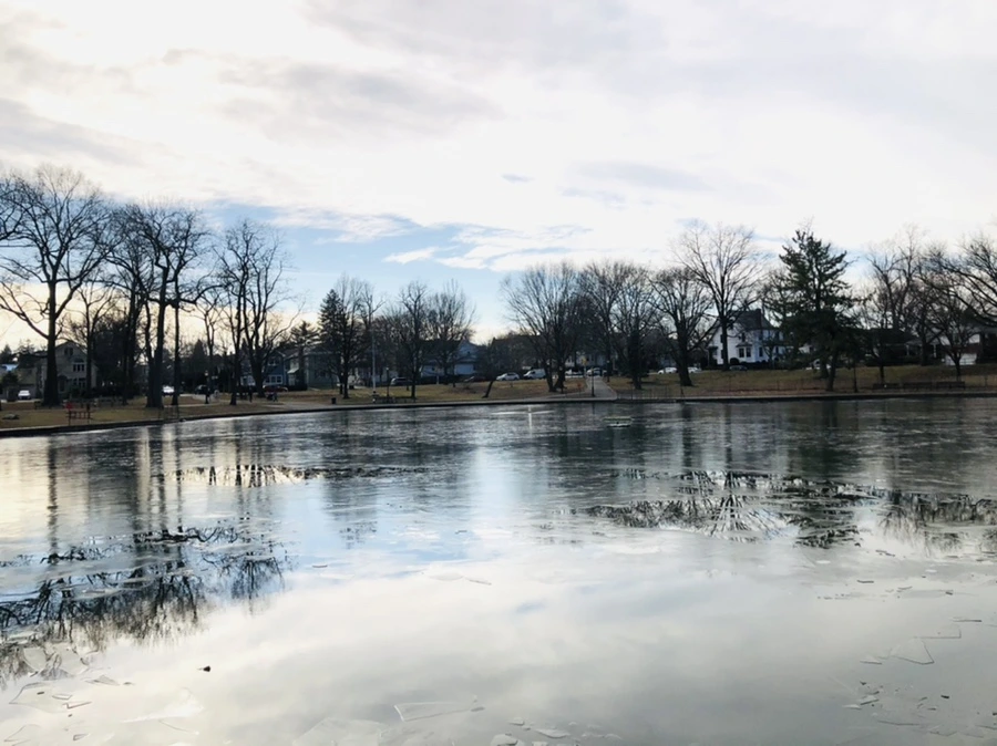 IMG_4739.jpg?type=w966