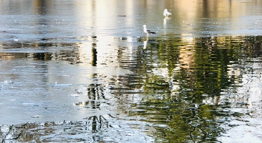 IMG_2628.jpg?type=w966