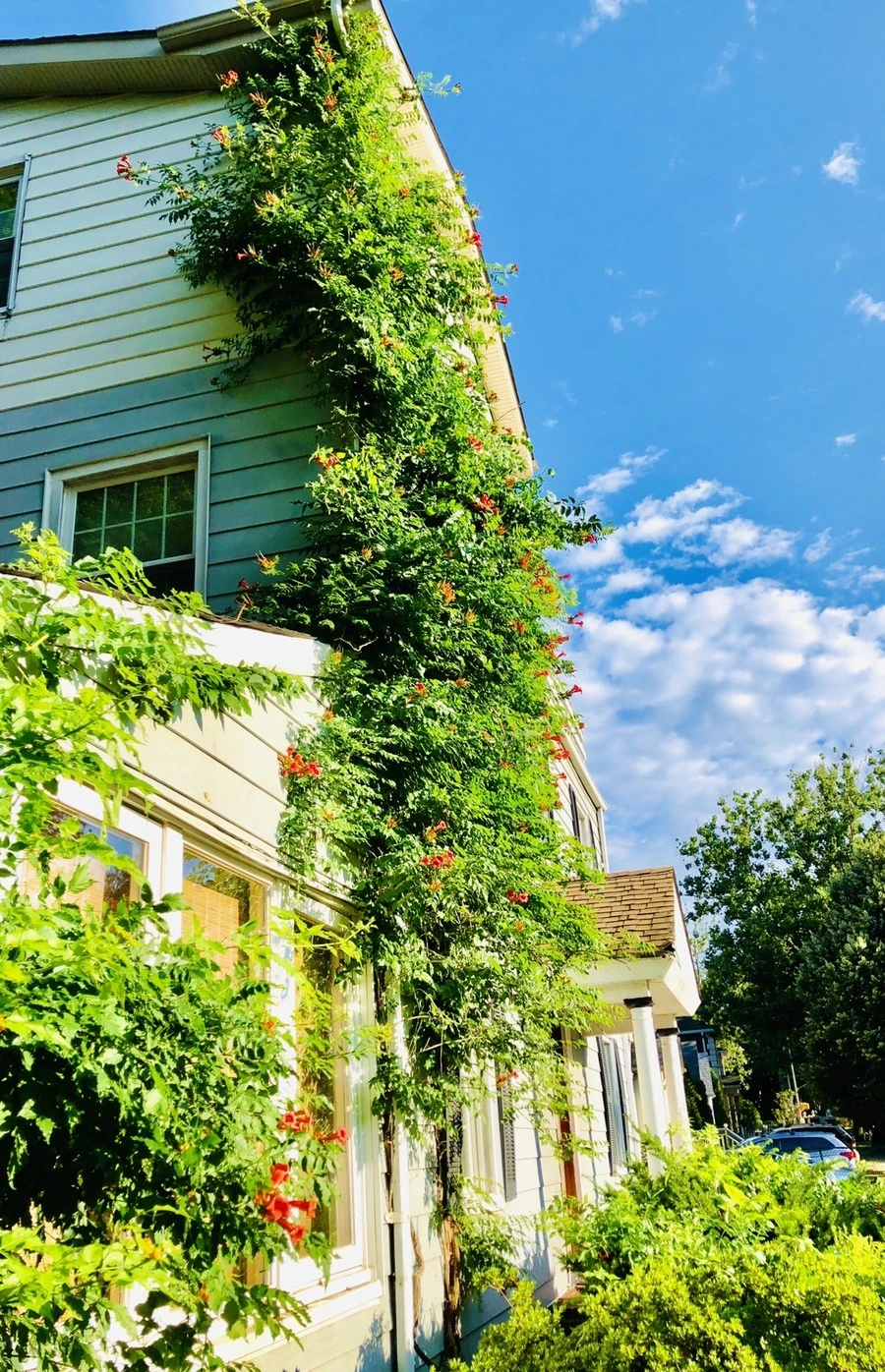 tyBG1Hi-SFbw4-eWl3gUS0Xb_Dg